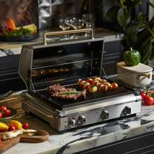 Load image into Gallery viewer, Stainless Steel Gas Grill